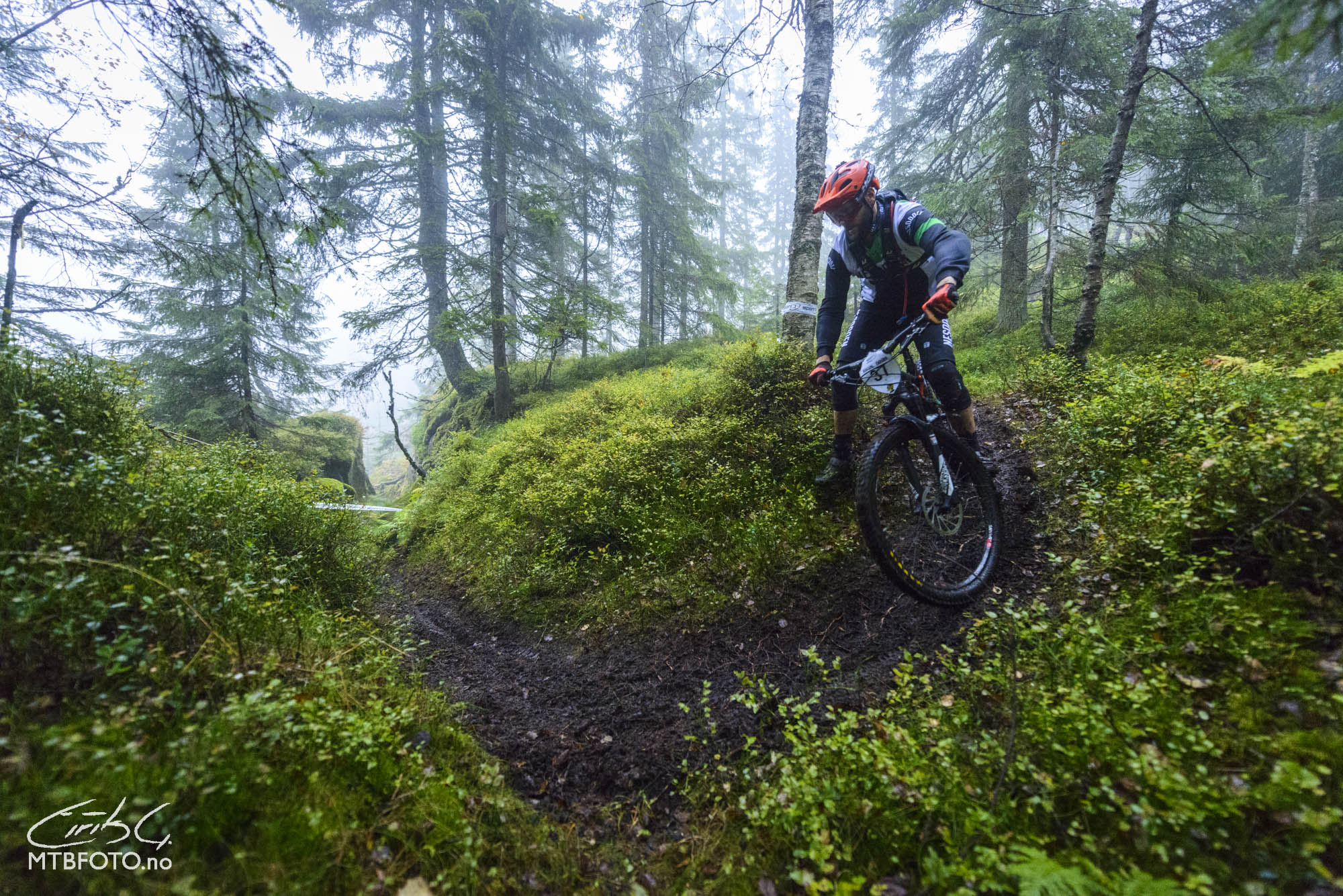 Bilde av Kristoffer Schie